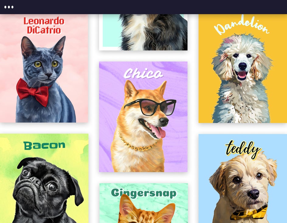 Gallery of colorful pet portrait illustrations featuring cats and dogs in different artistic styles