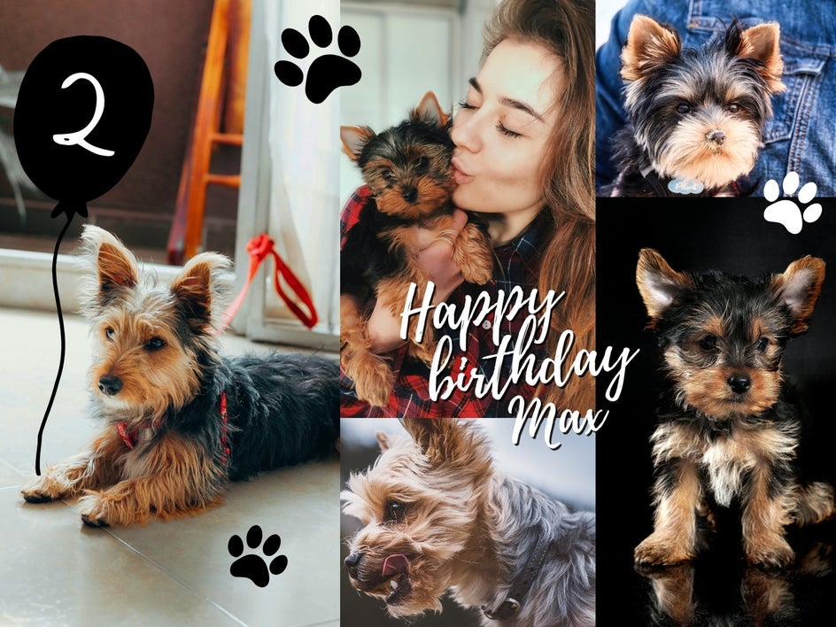 Birthday photo collage for a dog named Max with paw print graphics and text “Happy Birthday Max