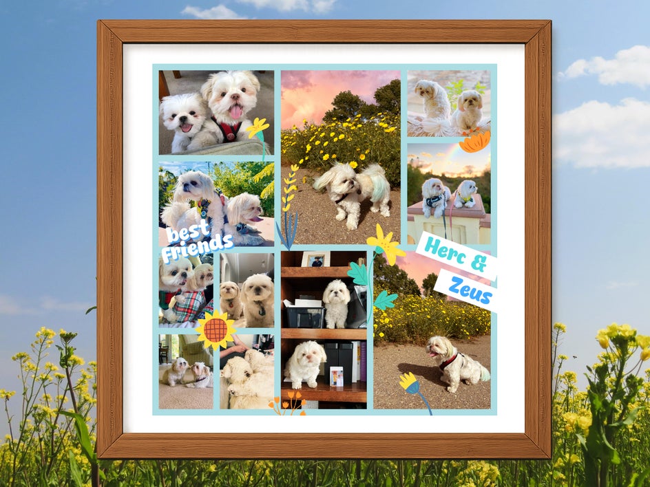 Finished printable pet collage with stickers and personalized text ready to be framed or gifted