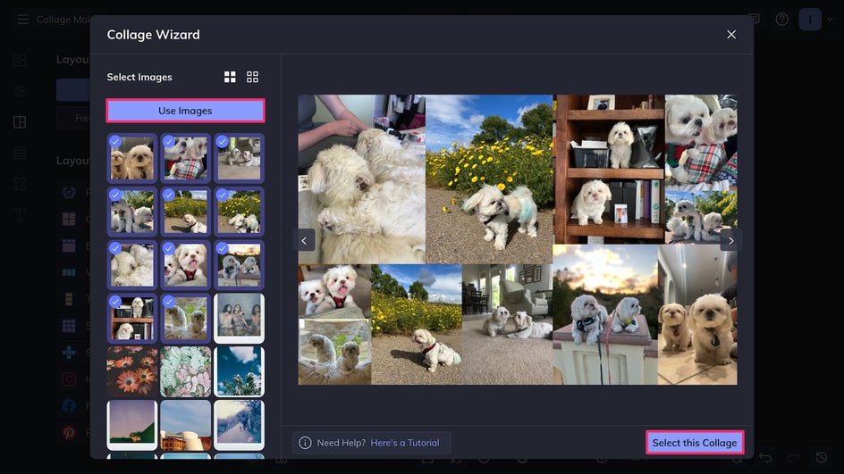 Collage Wizard showing multiple pet collage layout options with photo thumbnails and selection arrows