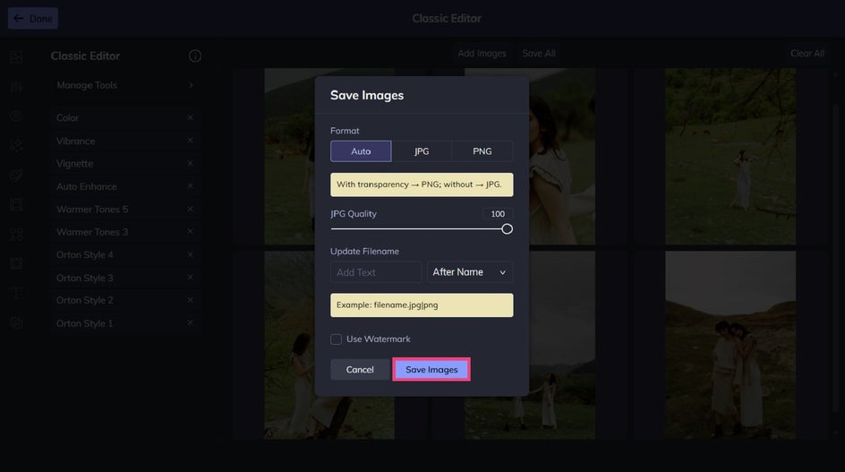 apply-photo-effects-to-multiple-pictures-7