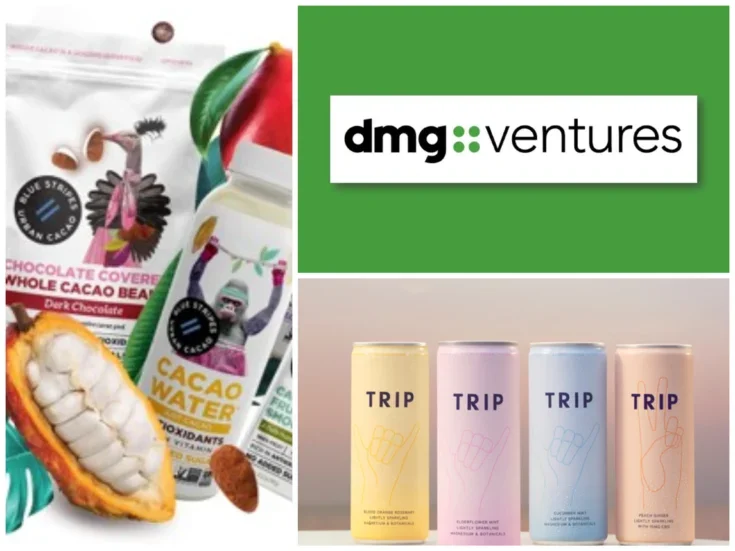 Daily Mail publisher invests in CBD drinks and cacao 'upcycling' companies